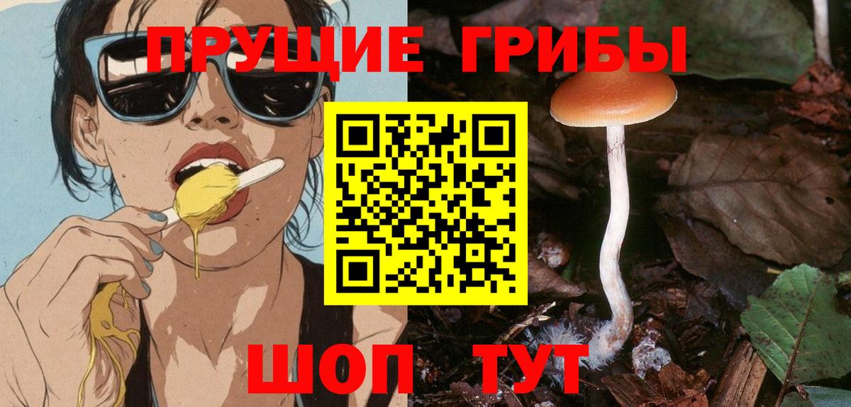 Магнитогорск  Псилоцибиновые грибы GOLDEN TEACHER  Вход с VPN  Галлюциногенные грибы Magic Shrooms 