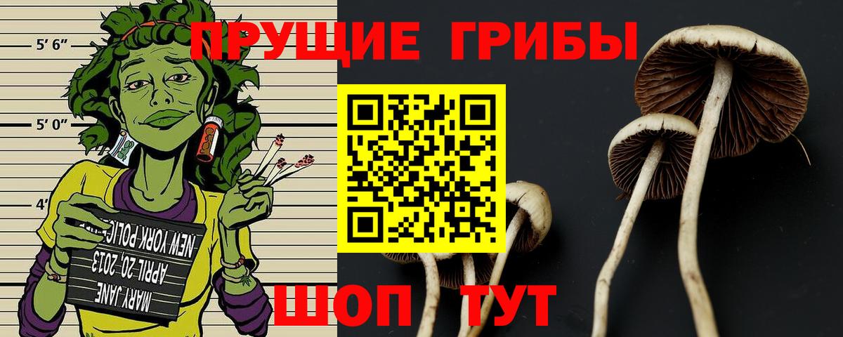 Галлюциногенные грибы мухоморы Магнитогорск